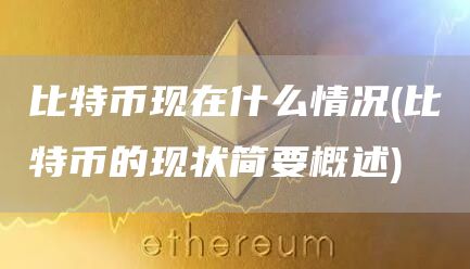 比特币现在什么情况 - 比特币的现状简要概述
